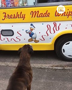 2.6M views · 2.4K reactions | She's so spoilt  ❤️ | Lessons Learned In Life | Facebook