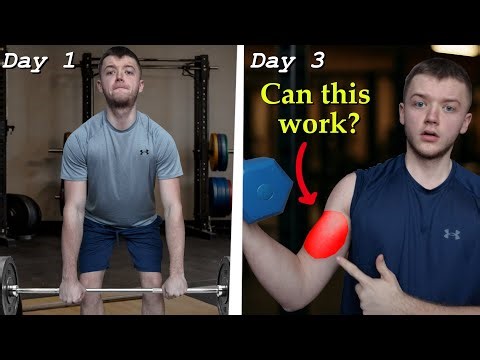 Only Compound vs. Isolation Exercises