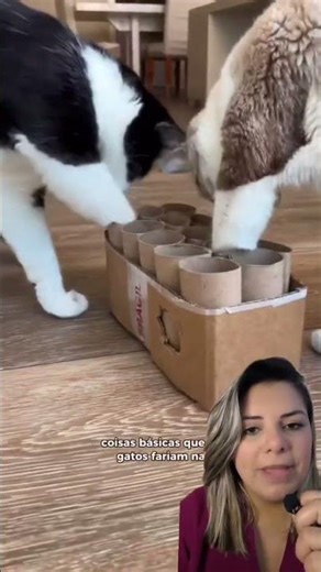 Como fazer brinquedo caseiro para gatos com rolo de papelão 🐈‍⬛✨🐾