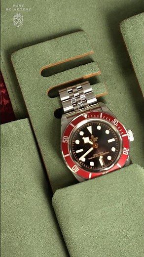 This is Why You Need a Watch Case