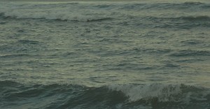 Video by William Chen on Pexels