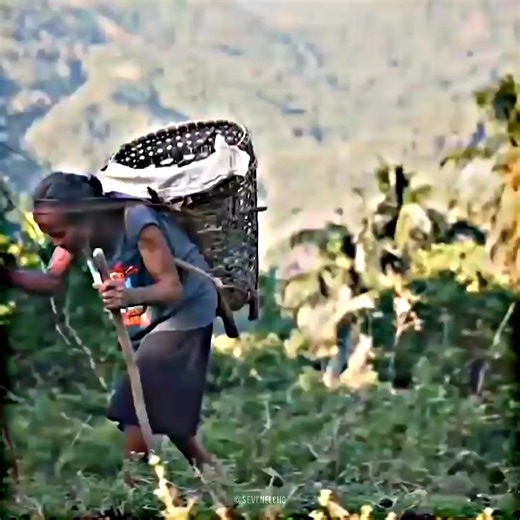 How to Perfectly Slice an Onion for Cooking