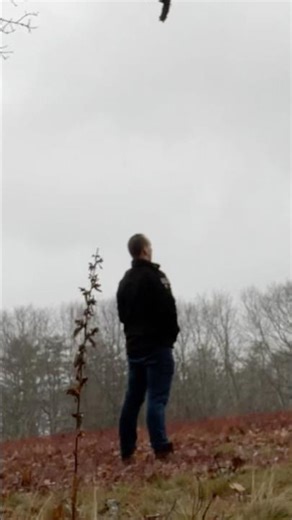 Never miss a meme opportunity #comedy #satire #funny #gaming #halo #haloreach #fypシ #memes