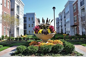 Award Winning Landscape Design