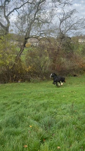 Bit of a lung opener for him | Danny Taylor-Berry