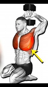 Best Lower Chest Exercises (Very Effective) | Build Bigger, Stronger, and Defined Pecs With Dumbbell, Barbell, and Bodyweight Workouts Fast. #Ironpulse #7 #lowerchestworkout #gymskills | Wait and Watch