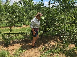 The Art of Disgorging | Eve's Cidery