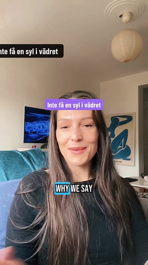 Swedish expressions continue 😄🇸🇪 #swedish #speakswedish #languaglearning #languagestudy #learnswedish #lärdigsvenska #swedishexpressions