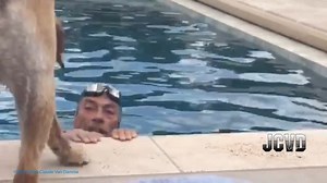 391K views · 10K reactions | Just sharing a family fun moment with you, guys! And soon, to show you my training videos for my next martial arts movie #TheTower. I ❤️ You❕ #JeanClaudeVanDamme #JCVD | Jean-Claude Van Damme | Facebook