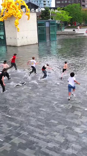 Learn to Skimboard in Just One Day