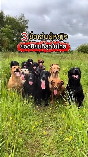 🤯 Is my name really that common? TOP 3 Most Popular 'Girl' Nicknames in Thailand!