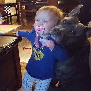 45K views · 683 reactions | Adorable bonds between babies and their pets  | Newsflare | Facebook