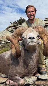 5K views · 1.8K reactions | Massive Hangay Argali we got this season in Mongolia. #hunting #sheephunting #mountainhunting | Great European Hunts | Facebook