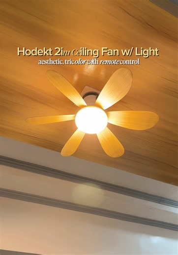 Wooden Style Ceiling Fan with Light — Modern Ceiling Fan & Light