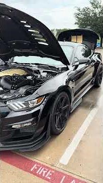 Shelby’s (F150 and Hertz) and a nice 1960 Ford Ranch Wagon! Time Machine Car Show, 7/5/25