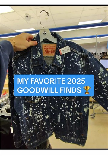 My Favorite Goodwill Finds of 2025 Highlights