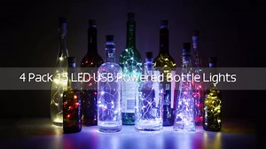 Bottle Lights, USB Rechargeable Wine Bottle Light with Cork 2024 Upgraded 2m 20 LED Jar Fairy Lights for Xmas Decorations