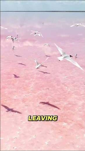 The Massive 1,700-Square-Mile Lake With NO Way Out! 😲