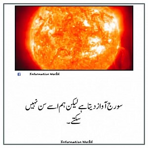 #factsyoudidntknow #facts #factsonly #Info #secrets #informatica #informational #dailyfacts #factsdaily #secret #worldfacts #FactsMatter #factsoflife #information #Informative #Factsand Information #Newinformationfromworld #facts and Information #New information from world | Information World