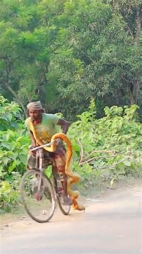 snakes prank video best prank crazy Man prank by Biplob