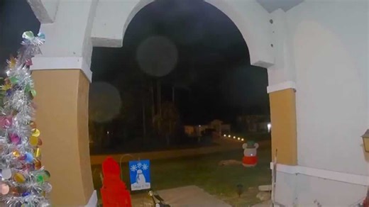 14-year-old arrested after Deltona dog killed in viral door kick challenge