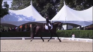 32K views · 69 reactions | Annelise Klepper and Happy Texas Moonlight earned their second gold medal磊磊after scoring a 73.250 % in the USDF North American Junior Rider Dressage Freestyle Championship! Annelise is the first junior rider since 2016 to win double gold at #FEINAYC (and she’s the youngest in her division at just 14!)! | FEI North American Youth Championships | Facebook