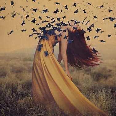 In this 138 lesson bootcamp, fine art photographer Brooke Shaden shows you how to choose which ideas to create, turn your concept into a production, and get your work seen and even sold. | CreativeLive