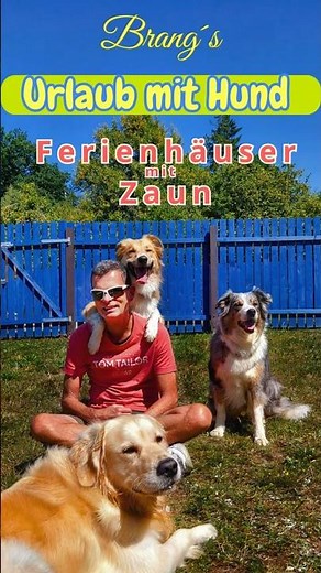 Traumhafter Urlaub mit Hund ! ausschließlich buchbar mit Hund