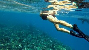 Underwater View Male Diver Female Swimmer Stock Footage Video (100% Royalty-free) 1015457332 | Shutterstock