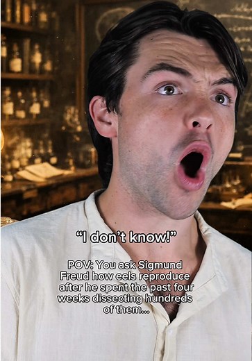 Yes this really happened 😂 and we still don’t know how eels reproduce to this day!! It’s one of Nature’s greatest mysteries. Before Freud was Freud, he was just a broke university student in Vienna with a scalpel and a terrible assignment. Scientists had no idea how eels reproduced. No one had ever seen eel eggs. No one had ever found proper reproductive organs. So they handed the problem to a 19 year old and said good luck. Freud spent months dissecting eel after eel after eel. Hundreds of the