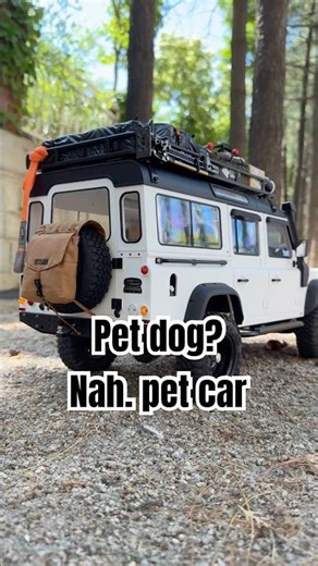 Pet dog? Nah. Pet car #automobile #rc카 #rccar #defender #landrover