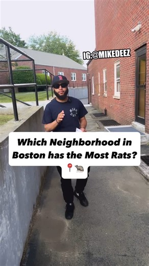 MIKE DEEZ on Instagram: "Which Neighborhood in Boston has the Most Rats? 🤔📍🐀 #COMMENT • • • #reels #reelsinstagram #explore #explorepage #foryou #viral #contentcreator #boston #massachusetts #newengland #newyork #nyc #trending #rat #rats #neighborhood #instagood #question #fyp #foryoupage #viralreels #chat #bostonma #mass #igboston #bostonstrong #tiktok #relatable #downtownboston"
