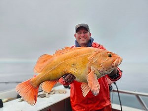 Seward Lingcod and Giant Yellow Eye
