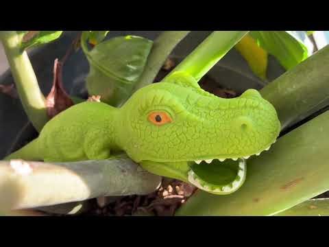 Let's hunt the dinosaurs. Captured the dinosaurs