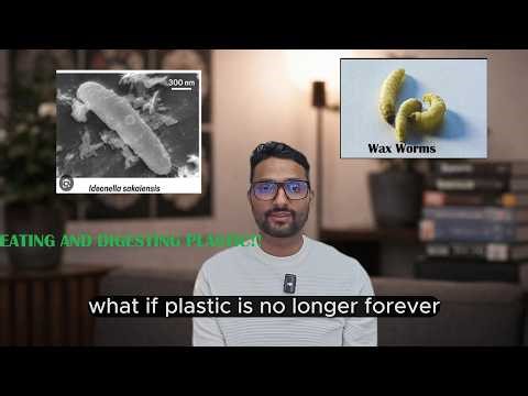 The Organisms That Can Eat Plastic (And Why It Changes Everything)