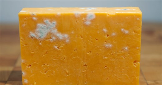 This 35p Ingredient Will Keep Cheese Mould-Free For Weeks