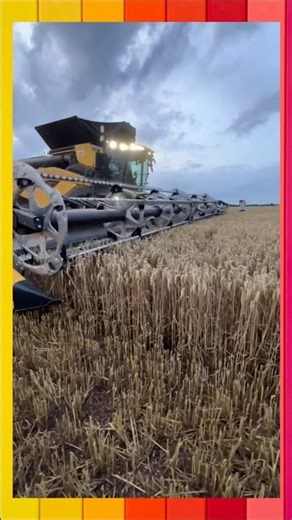 UNBELIEVABLE Power! 🌾 Watch the World’s Most Efficient Combine Harvester in Action
