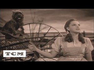 Over the Rainbow | Tu canción | TCM