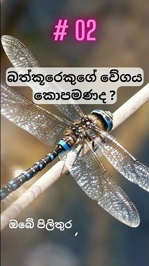 smart test special | whatsapp status @pudumavideo @MrPudumaya #shorts #short #shortvideo