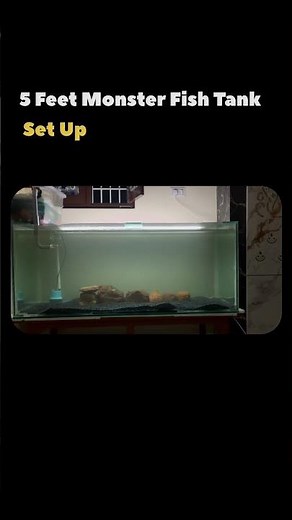 😱5-FEET monster FISH TANK setup at HOME!!🤩#fishtank #diy