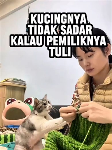 Kucing belajar bahasa isyarat hanya demi pemiliknya