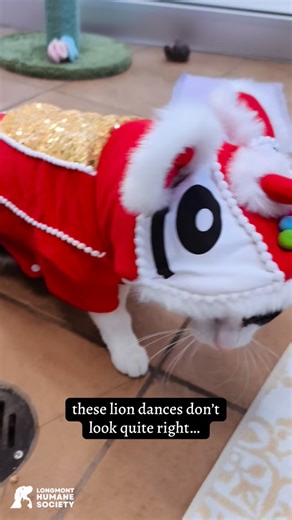 🐾 Turn your dumplings into donations this weekend! 🥟💙 Join us at Nana’s Dim Sum & Dumplings for a special giveback event benefiting Longmont Humane Society! 📅 Sunday & Monday ✨ 20% of ALL sales will be donated to Longmont Humane Society Every bite helps provide care, shelter, and second chances for local animals 🐶🐱 🎉 Don’t miss the traditional Lion Dance tomorrow (Sunday the 1st) at 5:30pm! 🕚 Hours: Sunday: 11am–9pm Monday: 11am–3pm & 4:30pm–10pm Ordering online? Make sure to place your 