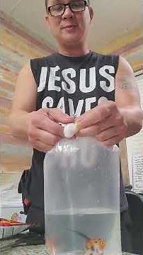 how to pack fish for shipping how to bag fish for shipping