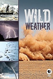Wild Weather