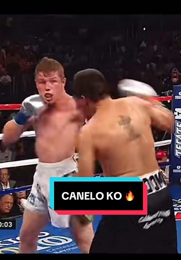 Canelo Alvarez Knockouts Compilation - Epic Boxing Highlights