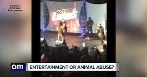 Epps apologizes for dancing with Kangaroo