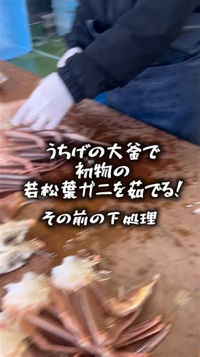 鮮魚屋 マルワフーズ渡辺水産 | 2025.2.2(日) うちげの大釜で初物の若松葉ガニを茹でる！🦀 【その前の下処理編】 #マルワフーズ渡辺水産 #鮮魚屋 #直売所 #うちげの大釜で初物の若松葉ガニを茹でる #初物 #若松葉ガニ #水ガニ #うちげの大釜 #茹で上げ #下処理 #下処理が大事です... | Instagram