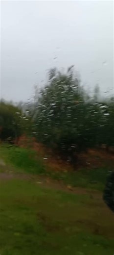 Western Cape - #CapeStorm Strong Winds hit the Apple farms in Grabouw