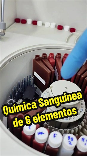 Realizando uns Quimica Sanguínea de 6 elementos en el Mindray BS120