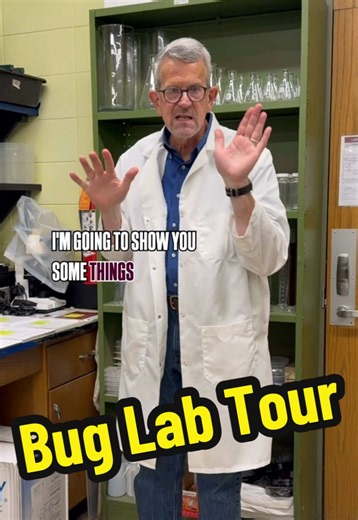 Dr. Goddard decided it was time for a bug lab tour! Don’t you feel the tingle? #bugs #Science #Mississippi #MSUext